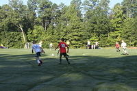 IMG 4813