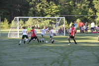 IMG 4819