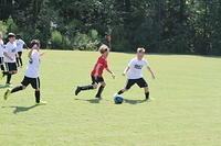 IMG 5424