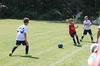 IMG 5428