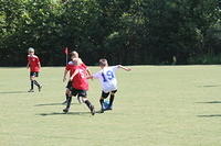 IMG 5430