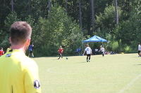 IMG 5433