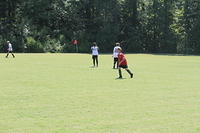 IMG 5438